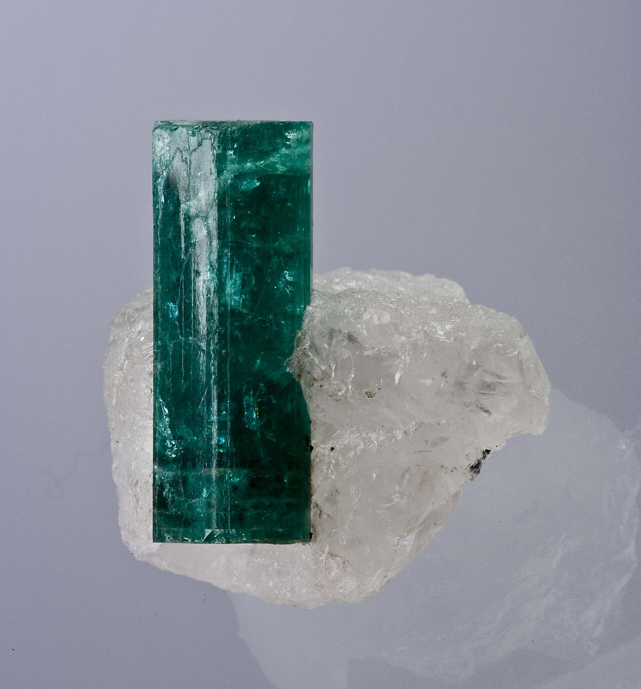 Zambia
